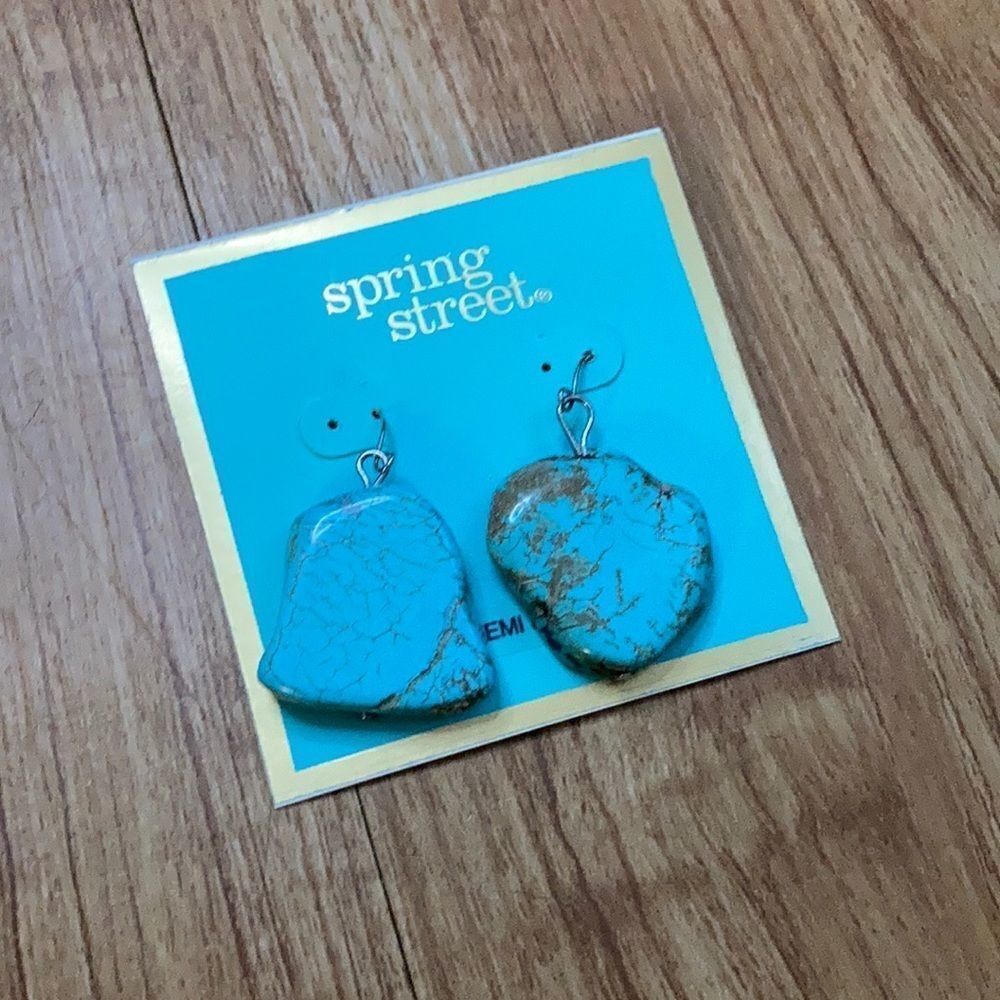 Turquoise earrings nwt